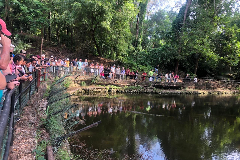 Excursión de día completo a la ciudad de Mombasa