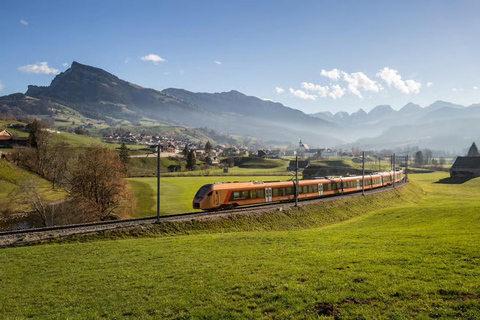 Zurich: Hardcore Swiss Train Tour–4 Scenic Railways in 1 day Excluding Train Tickets