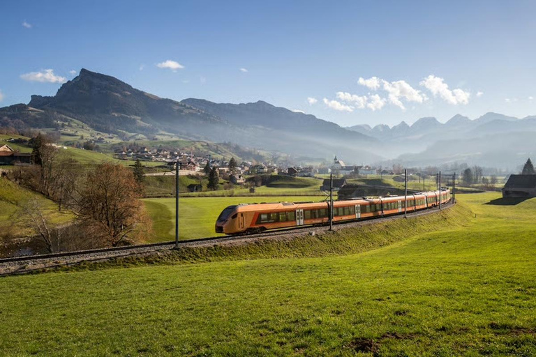 Zurich: Hardcore Swiss Train Tour–4 Scenic Railways in 1 day Excluding Train Tickets