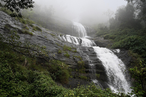 Munnar i Alleppey 3N/4D Ekskluzywna wycieczka z pobytem na łodzi mieszkalnej