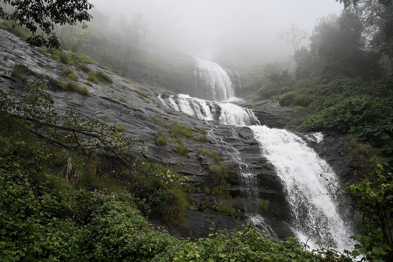 Munnar &amp; Alleppey 3N/4D Exklusiv resa med husbåtsvistelse