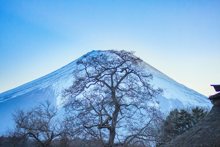 Tokyo: Mt. Fuji Customizable & Private Tour with chauffeur Alphard Minivan