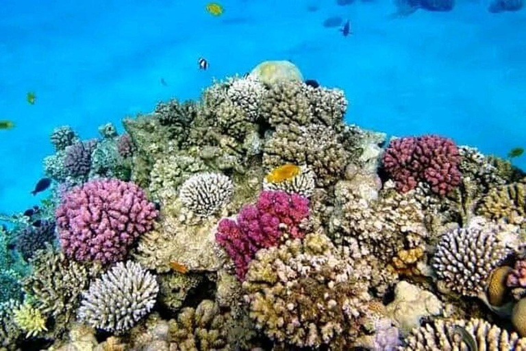 ZANZÍBAR: isla de la Prisión, natación en cuevas y Laguna Azul