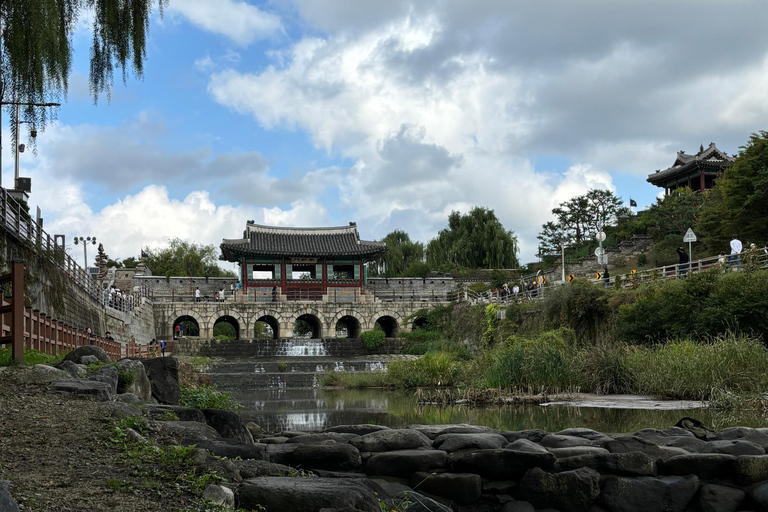 Seul: passeio histórico e gastronómico por Suwon com chá e sobremesa reais