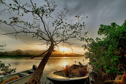 SANTAMARTA: TOUR Palomino, Magdalena. Colazione e pranzo inclusi