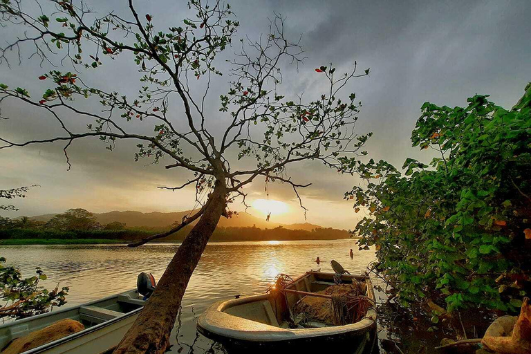 SANTAMARTA: TOUR Palomino, Magdalena. Colazione e pranzo inclusi
