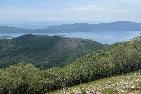 Vanuit Tivat: Vrmac Hill Scenic Hike boven de Boka-baaiVanuit Tivat: mooie wandeling op de Vrmac-heuvel boven de baai van Boka