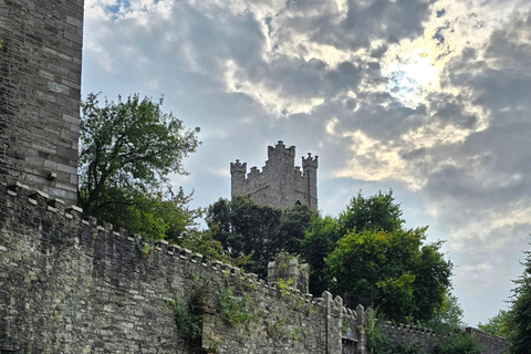 Dublin Private Medieval Walking Tour Dublin Private Medieval Walking Tour in English