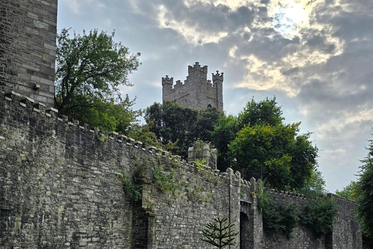 Dublin Private Medieval Walking Tour Dublin Private Medieval Walking Tour in English