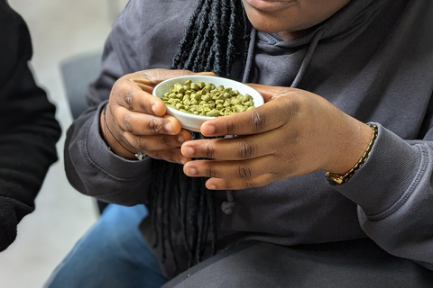 Brussels: beer tasting workshop in a micro brewery