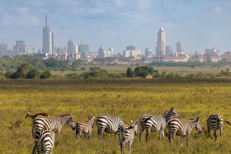 Nairobi: National Park, Museum & City Immersion Tour Nairobi: Park, Elephant Orphanage & Giraffe Center Safari