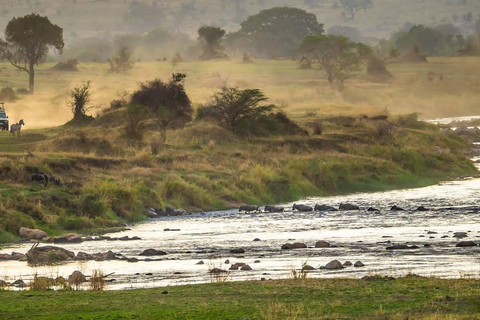 Excursão de um dia ao Parque Nacional Nakuru e ao Lago Naivasha