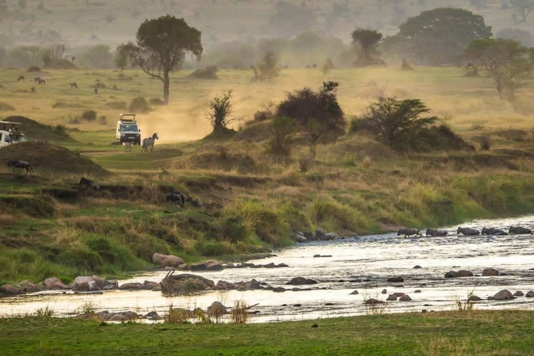 Jednodniowa wycieczka do Parku Narodowego Nakuru i nad jezioro Naivasha