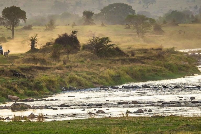 Excursão de um dia ao Parque Nacional Nakuru e ao Lago Naivasha