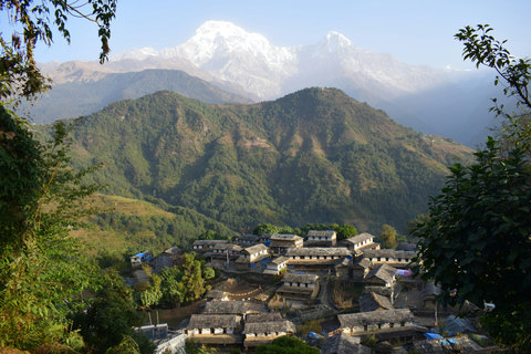 Pokhara: 3-dagars Ghandruk &amp; Landruk Easy Trek i Himalaya