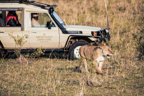 9-Day Kenya Safari with Accommodation & Meals