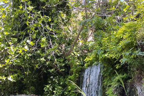 From Chania: Lake Kournas & Argiroupoli Springs Guided Tour