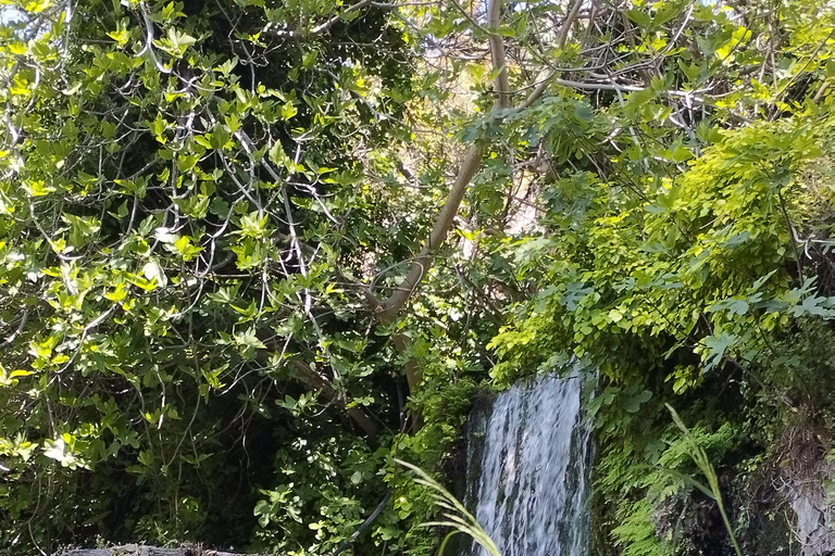 From Chania: Lake Kournas & Argiroupoli Springs Guided Tour