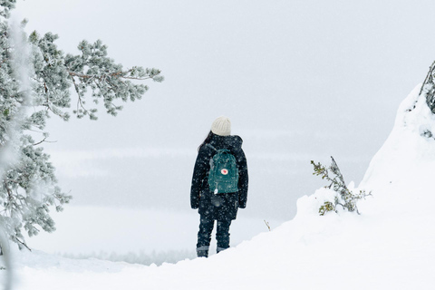 Rovaniemi: ciaspolate nella natura selvaggia dell&#039;Artico