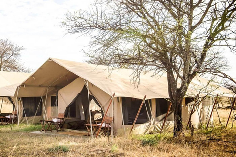 8 jours de safari spectaculaire en Tanzanie (circuit nord)