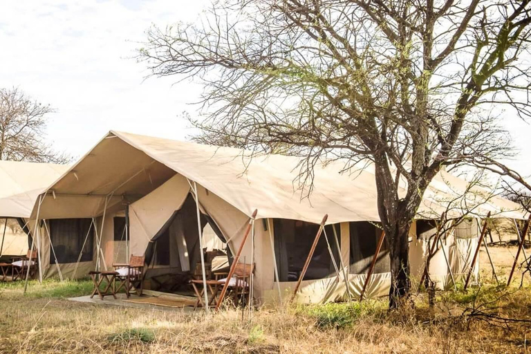 8 jours de safari spectaculaire en Tanzanie (circuit nord)