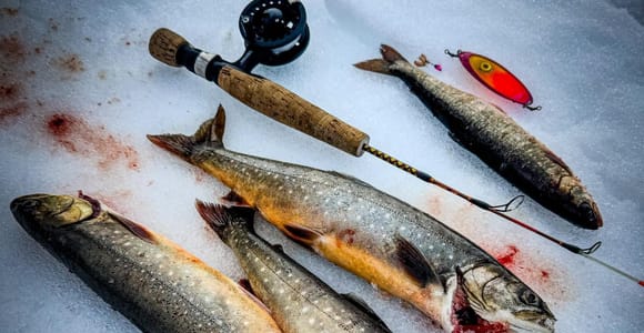 Saariselkä: Kakslauttanen Private Ice Fishing & Barbecue