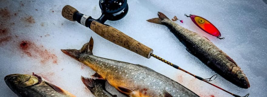 Saariselkä kakslauttanen : expérience de pêche sur glace + barbecue