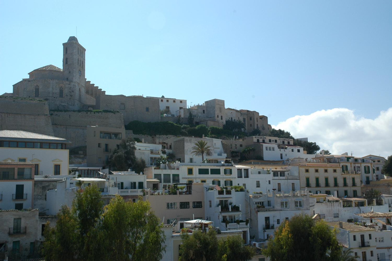 IBIZA: IBIZA AT NIGHT DALT VILA WITH TOUR GUIDE