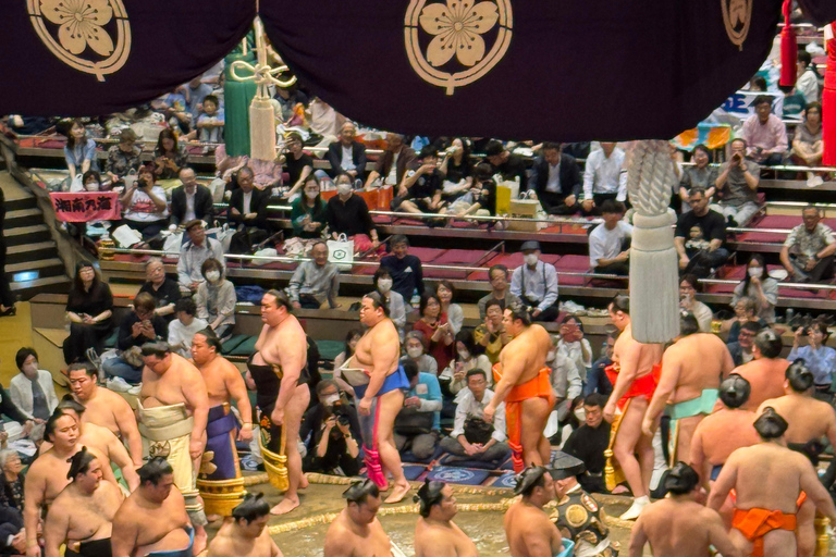 Tokyo: Sumo Tournament with Guide & Assigned Reserved Seat Reserved Seat in Zone B