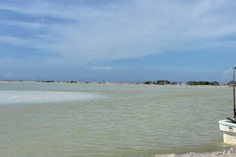 Flamingo Classic: Rio Lagartos and Las Coloradas