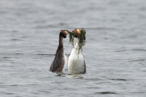 Glasgow: Beginners Wildlife Photography WorkshopGlasgow: Wildlife Photography Workshop