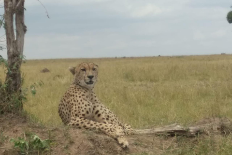 10-Day Kenya and Tanzania Safari Tour