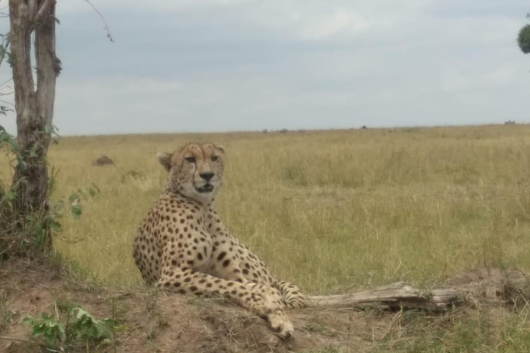 10-Day Kenya and Tanzania Safari Tour