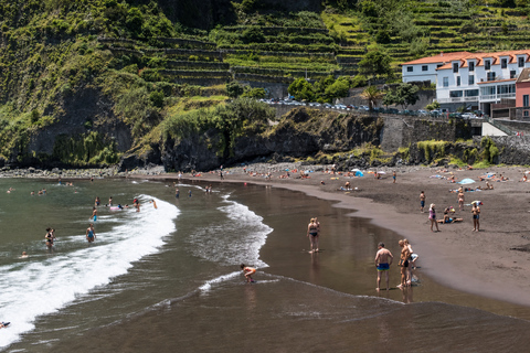 Ribeira Brava: West Madeira Tour with Fanal Forest & Pools