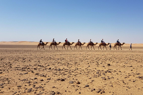 Marrakech: Agafay Wüste Quad &amp; Kamelreiten mit Dinner ShowMarrakesch: Quad- und Kamelritt in der Agafay-Wüste mit Dinner-Show