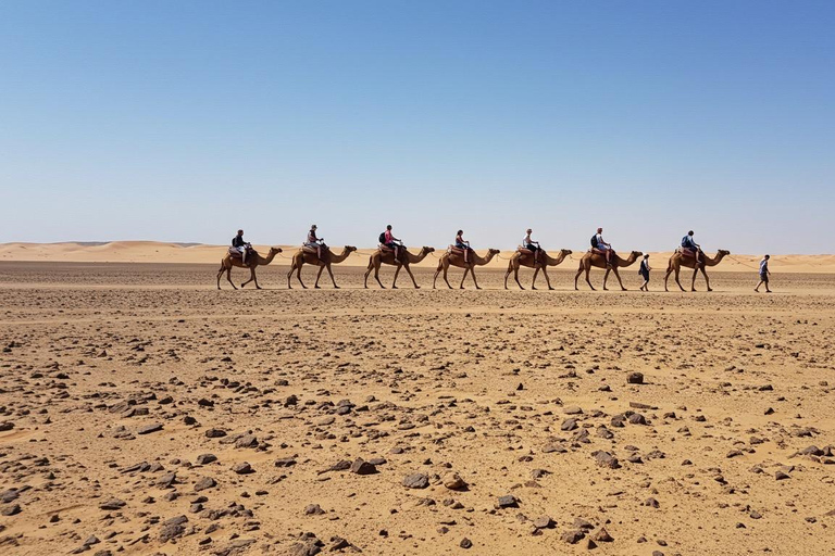 Marrakech: Agafay Wüste Quad &amp; Kamelreiten mit Dinner ShowMarrakesch: Quad- und Kamelritt in der Agafay-Wüste mit Dinner-Show