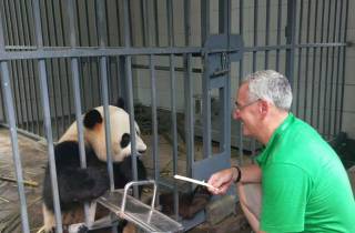 Wolong oder Dujiangyan Panda Base Freiwilligenarbeit mit allem drum und dran