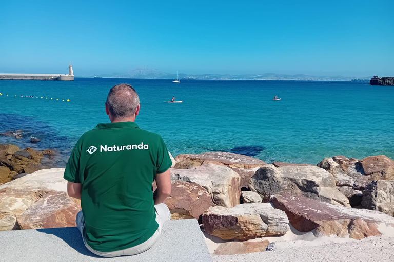 Desde la bahía de Cádiz: excursión para avistar delfines en Tarifa