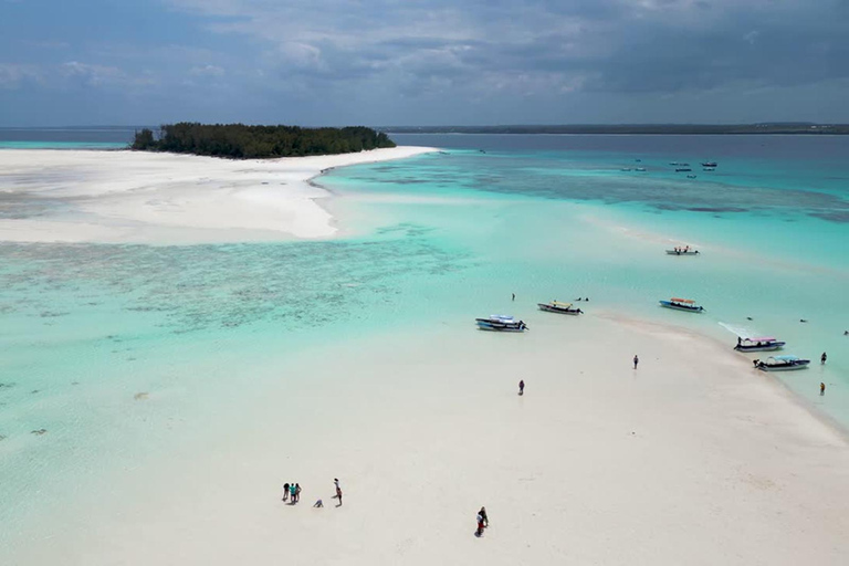 Zanzibar: Snorkeling sull&#039;isola di Mnemba e avventura con i delfini