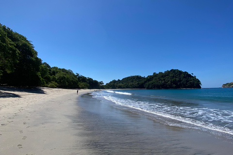 Manuel Antonio Park: Guidad vandring med en naturforskarePrivat rundtur