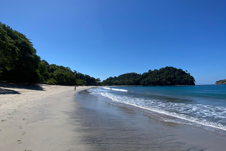 Manuel Antonio Park: Guided Walking Tour with a NaturalistPrivate Tour