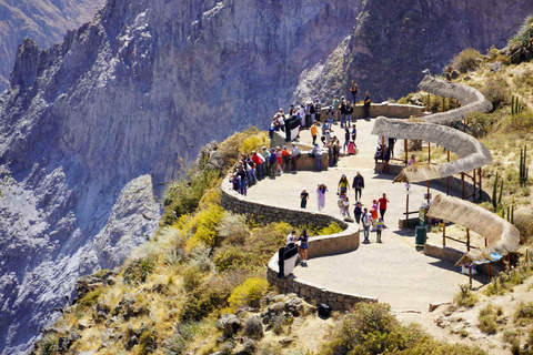 From Arequipa: 1 Day Tour to the Colca Canyon + Breakfast