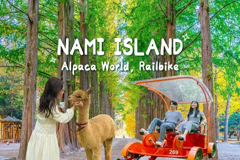 Seúl: Excursión de un día a Gangwon-do con el Mundo de la Alpaca y la Isla de Nami