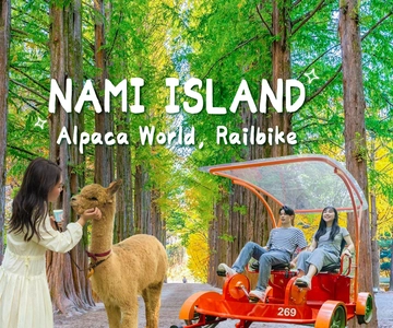 Seoul: Gangwon-do Day Trip with Alpaca World & Nami Island