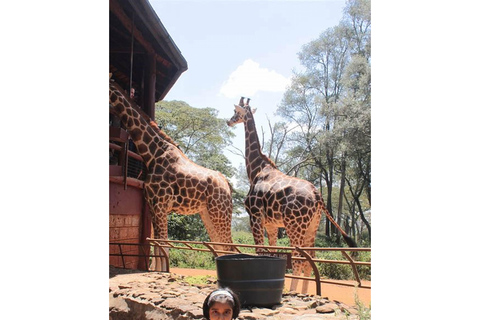 Excursión al Parque Nacional de Nairobi, Centro de la Jirafa y Bomas de Kenia