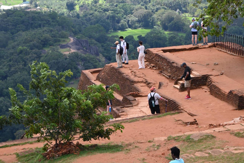 From Colombo: Dambulla, Sigiriya, and Safari Day Trip