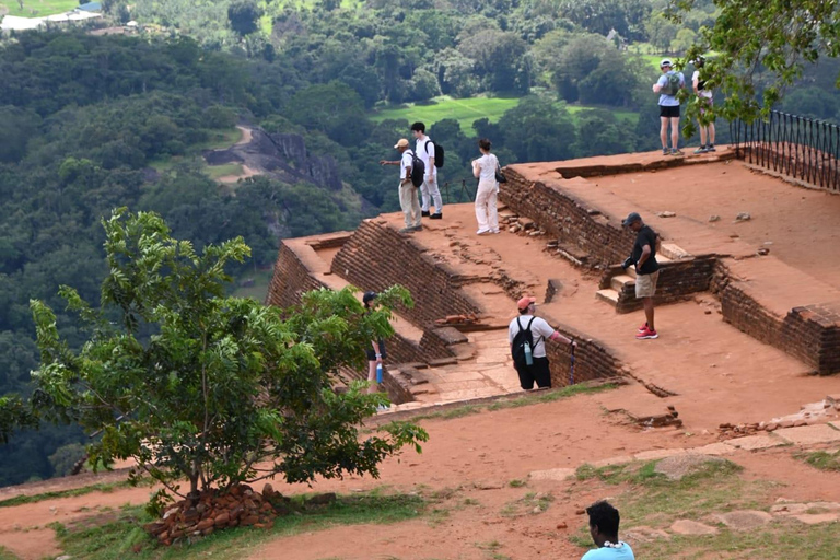 From Colombo: Dambulla, Sigiriya, and Safari Day Trip