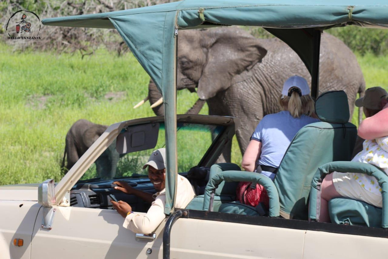 Selous : Un safari hors route d&#039;une journée au départ de Zanzibar