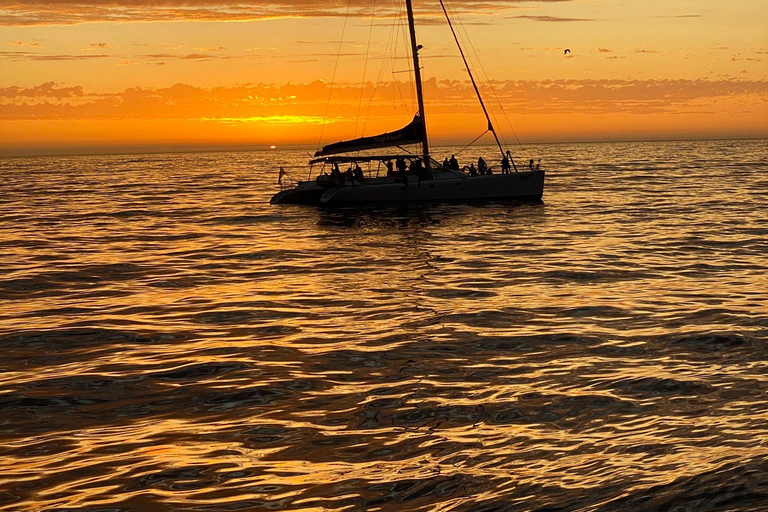 Città del Capo: una fuga di lusso in barca a vela al tramonto dal V&amp;A Waterfront