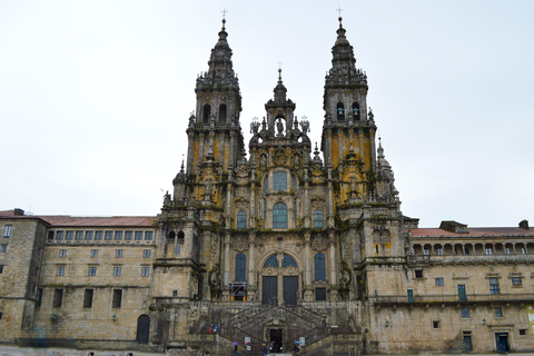 Vigo: Santiago de Compostela Guided Tour with Cathedral